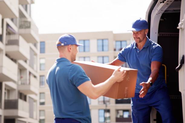 déménageurs professionnels déménagement maison cartons